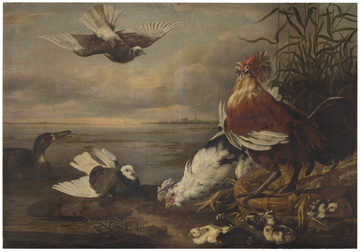 Fotograf: Neander, Hanna, Copyright: 1