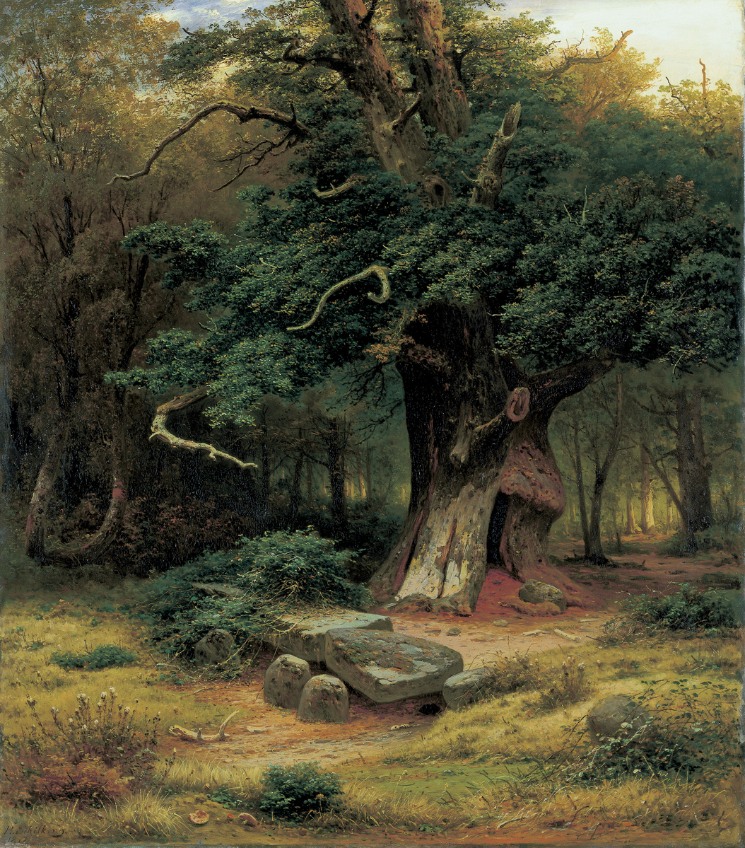 Fotograf: Wakonigg, Rudolf, Copyright: 1