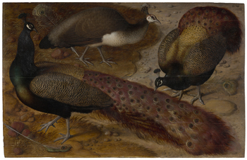 Fotograf: Neander, Hanna, Copyright: 1