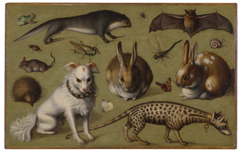 Fotograf: Neander, Hanna, Copyright: 1