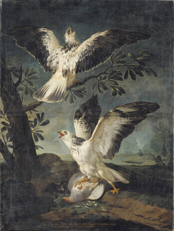 Fotograf: Ahlbrand-Dornseif, Sabine, Copyright: 1