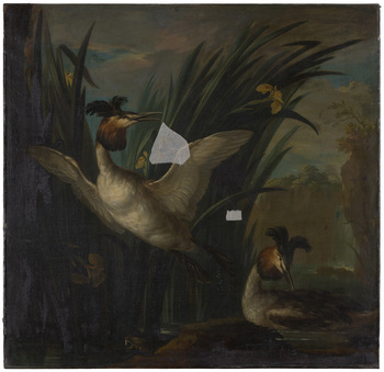 Fotograf: Neander, Hanna, Copyright: 1