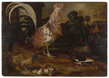 Fotograf: Ahlbrand-Dornseif, Sabine, Copyright: 1