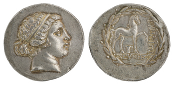 Fotograf: Ahlbrand-Dornseif, Sabine, Copyright: 1