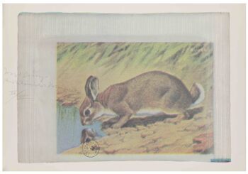 Fotograf: Neier, Anne, Copyright: 1