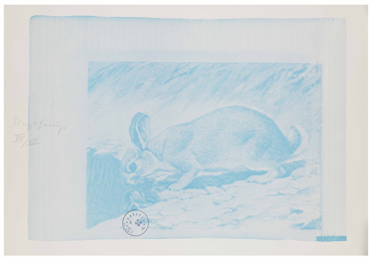 Fotograf: Neier, Anne, Copyright: 1