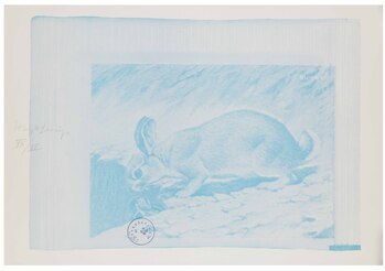 Fotograf: Neier, Anne, Copyright: 1