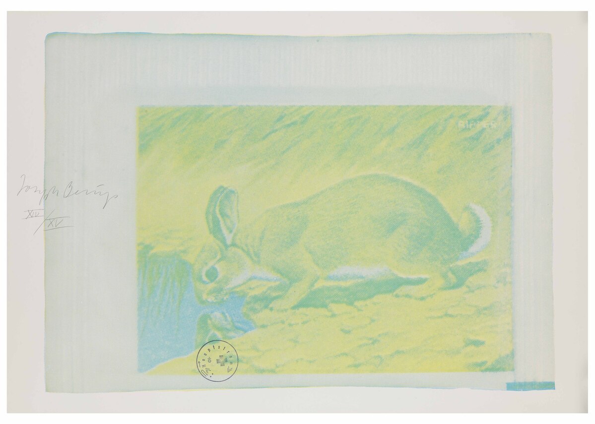 Fotograf: Neier, Anne, Copyright: 1