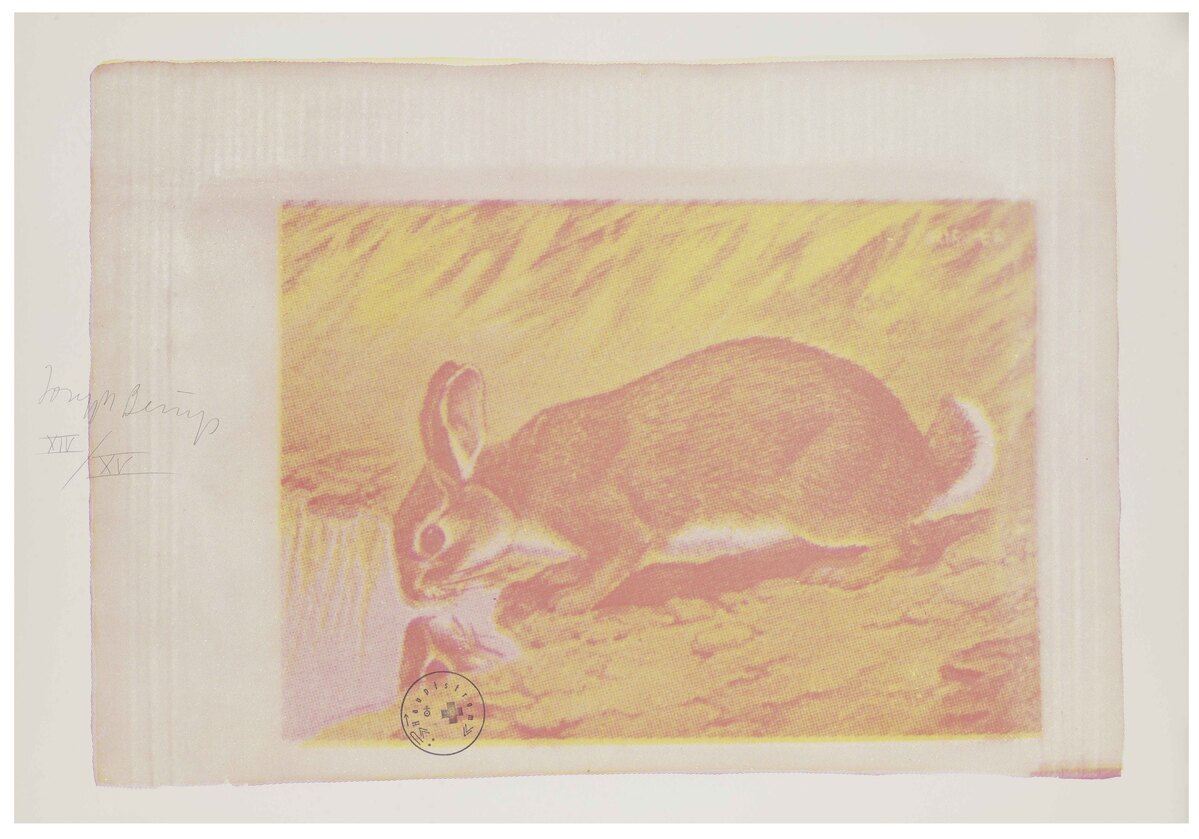 Fotograf: Neier, Anne, Copyright: 1