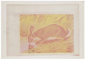 Fotograf: Neier, Anne, Copyright: 1