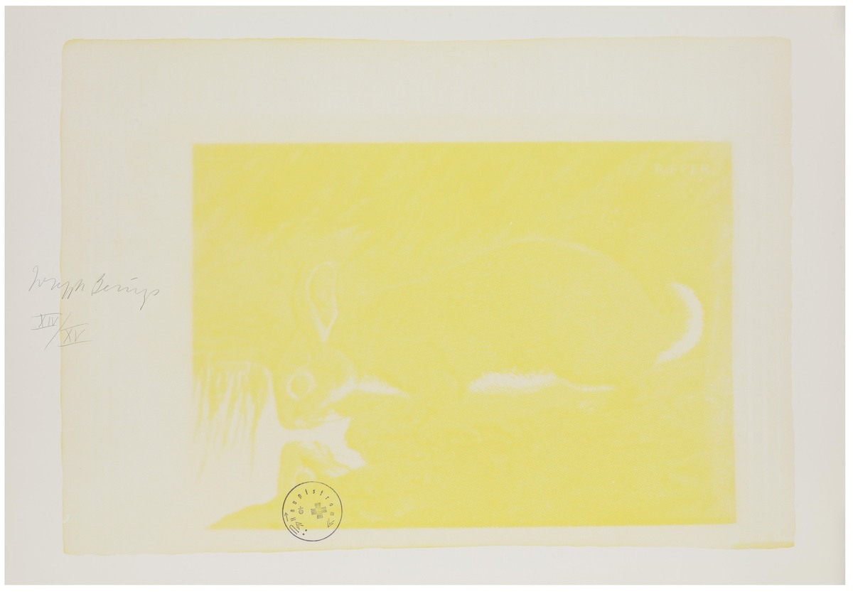 Fotograf: Neier, Anne, Copyright: 1