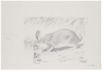 Fotograf: Neier, Anne, Copyright: 1