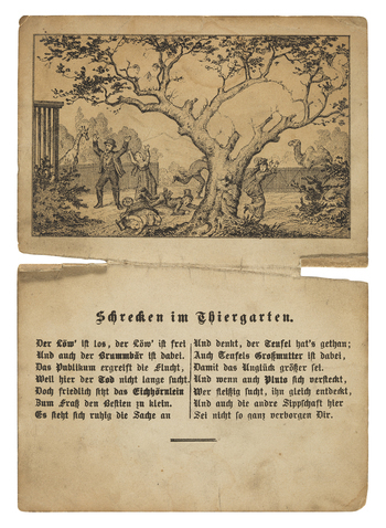 Fotograf: Ahlbrand-Dornseif, Sabine, Copyright: 1