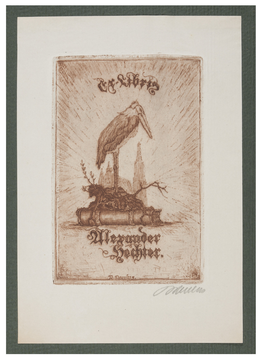 Fotograf: Hickstein, Carmen, Copyright: 1