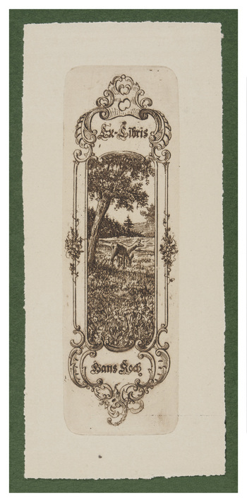 Fotograf: Hickstein, Carmen, Copyright: 1