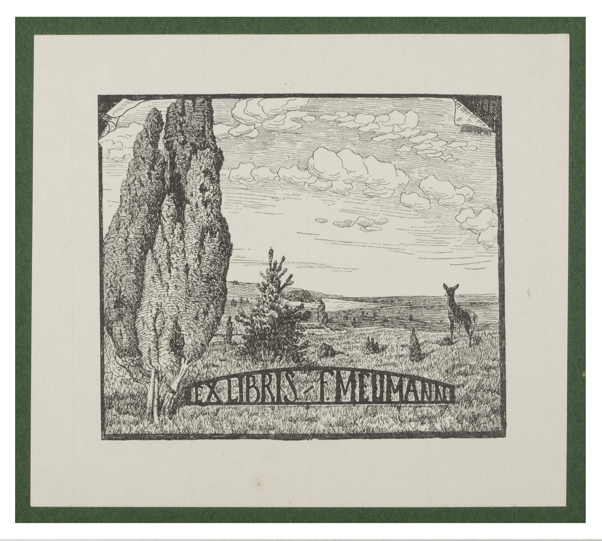 Fotograf: Hickstein, Carmen, Copyright: 1