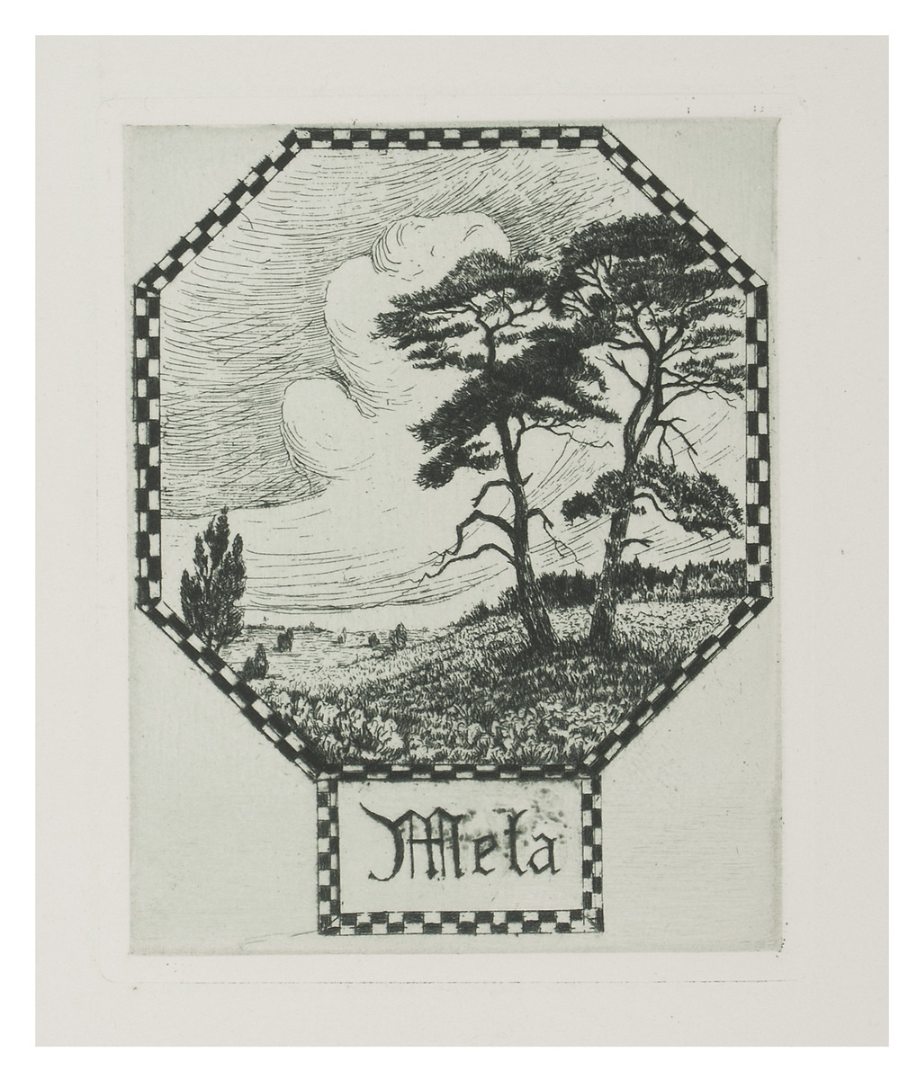 Fotograf: Hickstein, Carmen, Copyright: 1