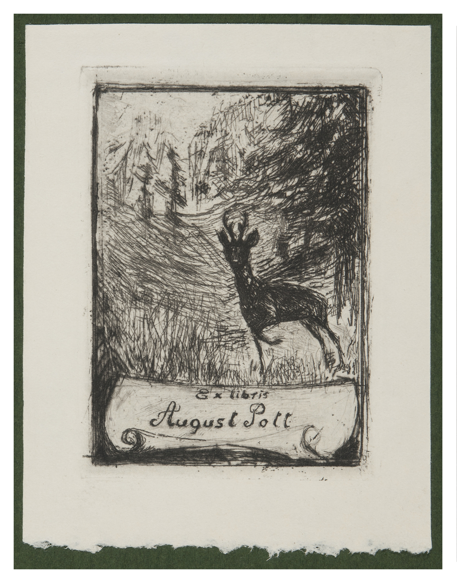 Fotograf: Hickstein, Carmen, Copyright: 1