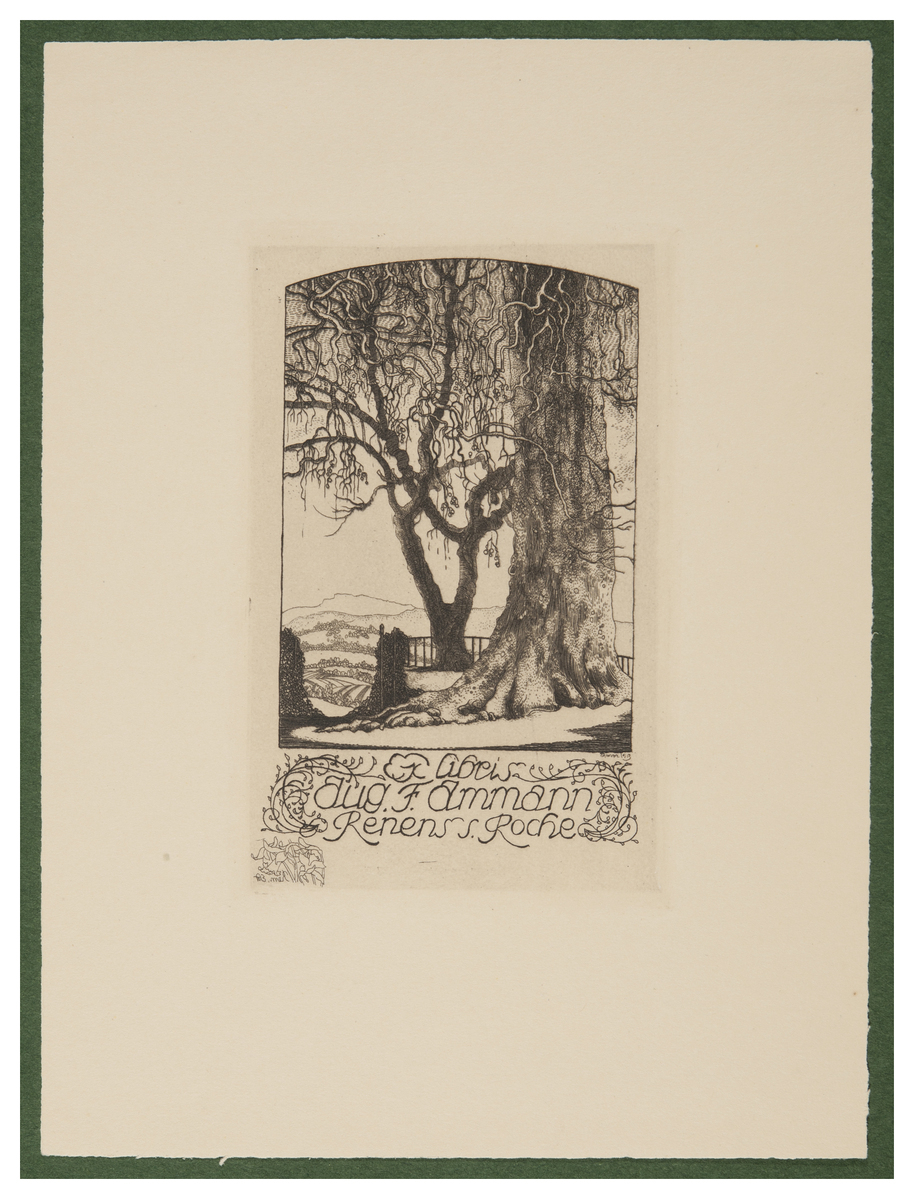 Fotograf: Hickstein, Carmen, Copyright: 1