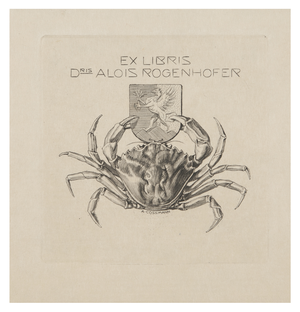 Fotograf: Hickstein, Carmen, Copyright: 1