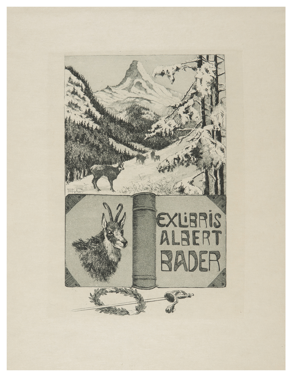 Fotograf: Hickstein, Carmen, Copyright: 1