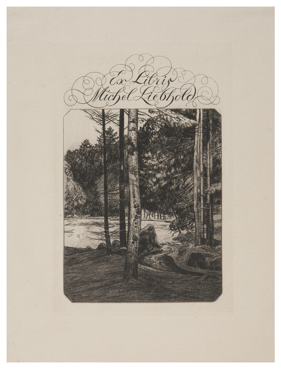 Fotograf: Hickstein, Carmen, Copyright: 1