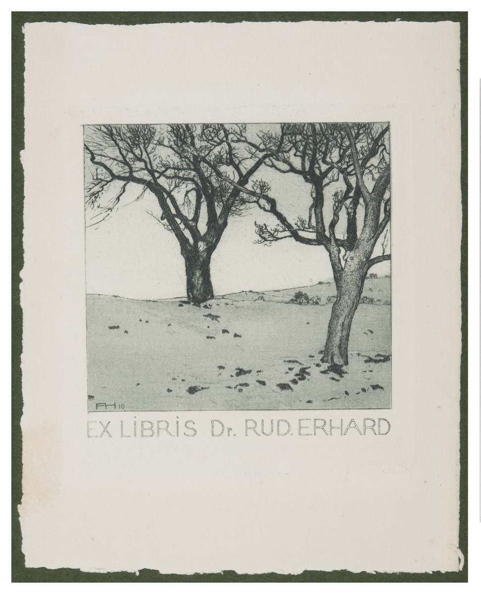 Fotograf: Hickstein, Carmen, Copyright: 1