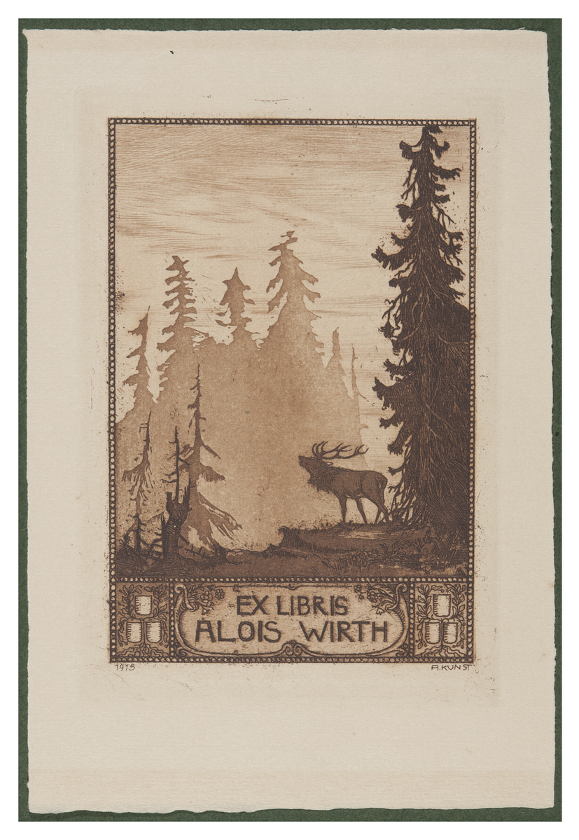 Fotograf: Hickstein, Carmen, Copyright: 1