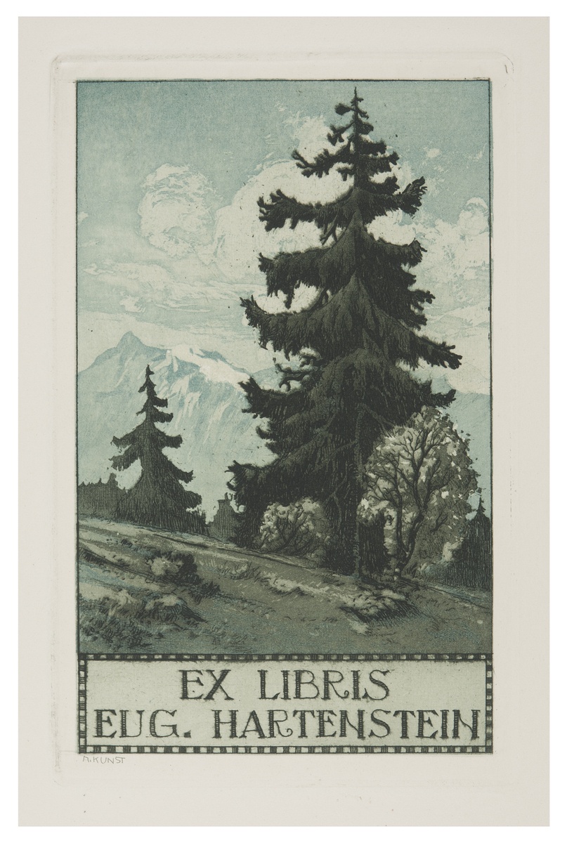 Fotograf: Hickstein, Carmen, Copyright: 1