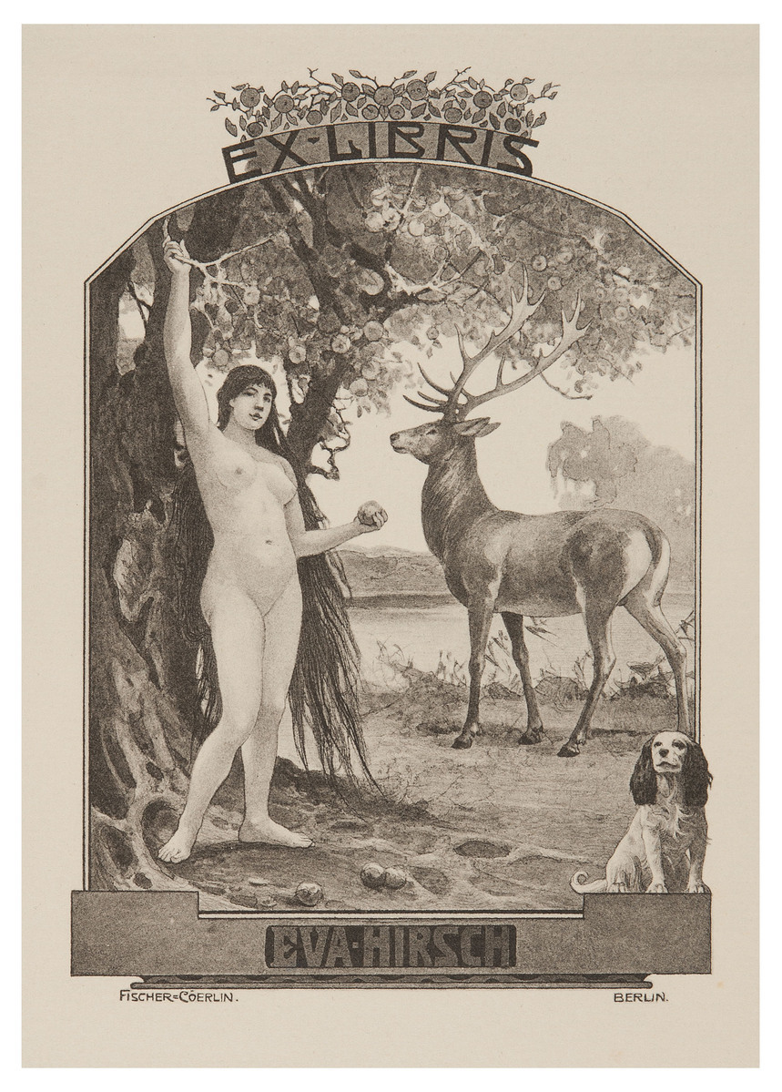 Fotograf: Hickstein, Carmen, Copyright: 1