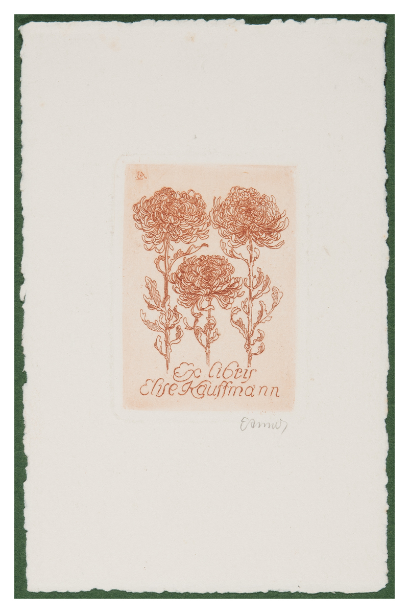 Fotograf: Hickstein, Carmen, Copyright: 1