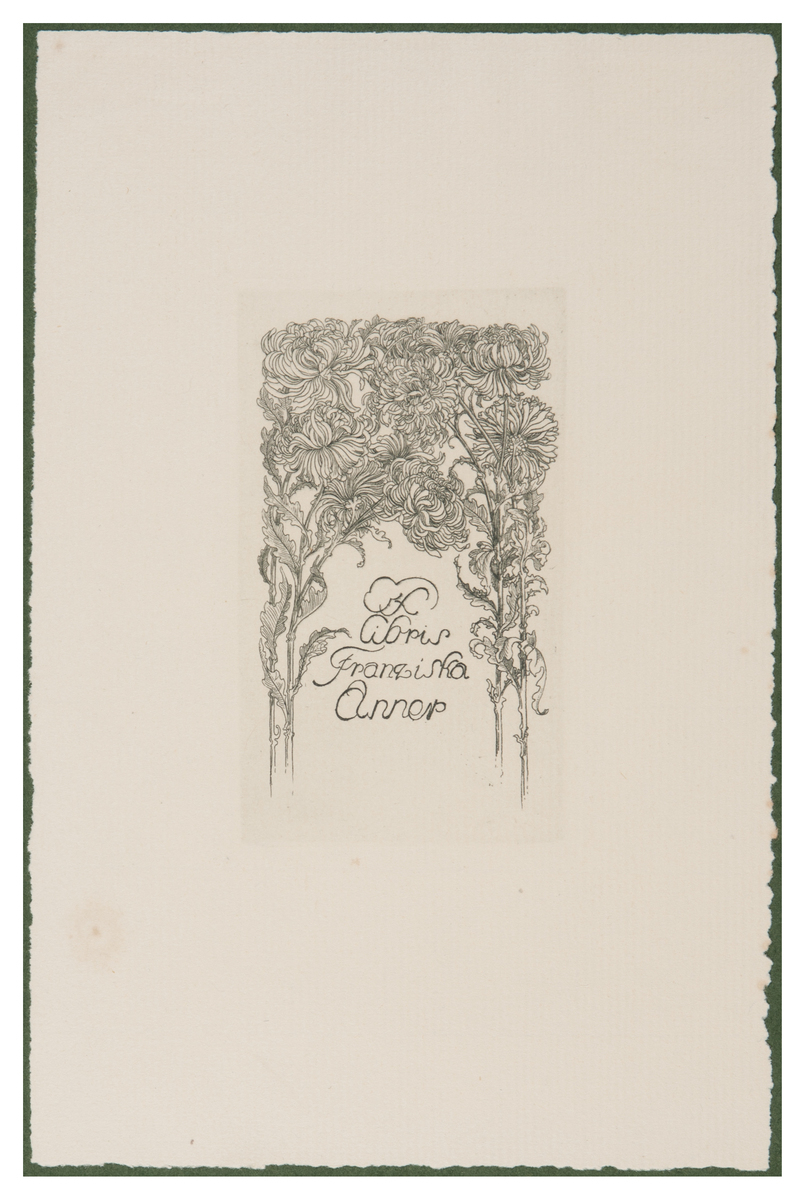 Fotograf: Hickstein, Carmen, Copyright: 1