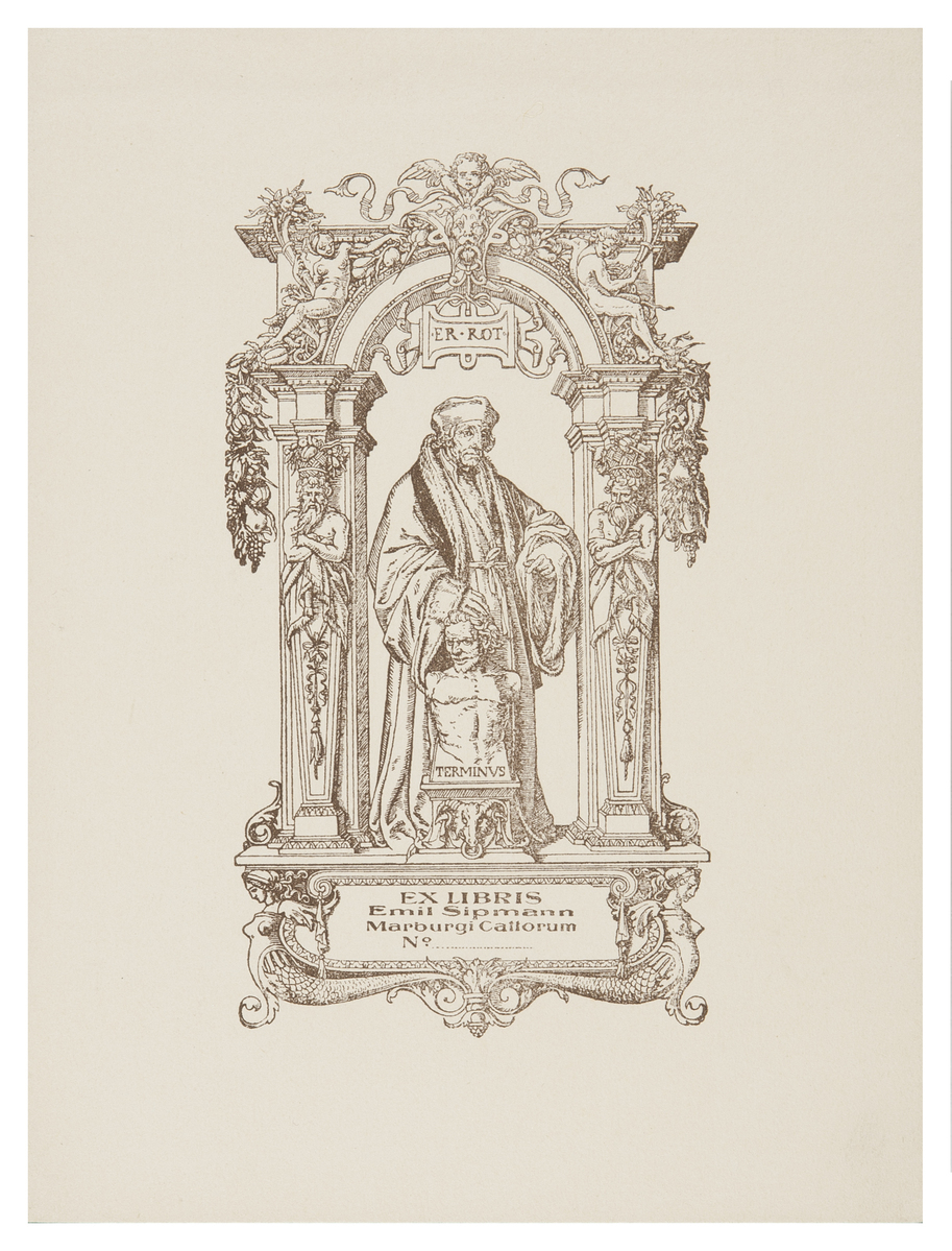 Fotograf: Hickstein, Carmen, Copyright: 1