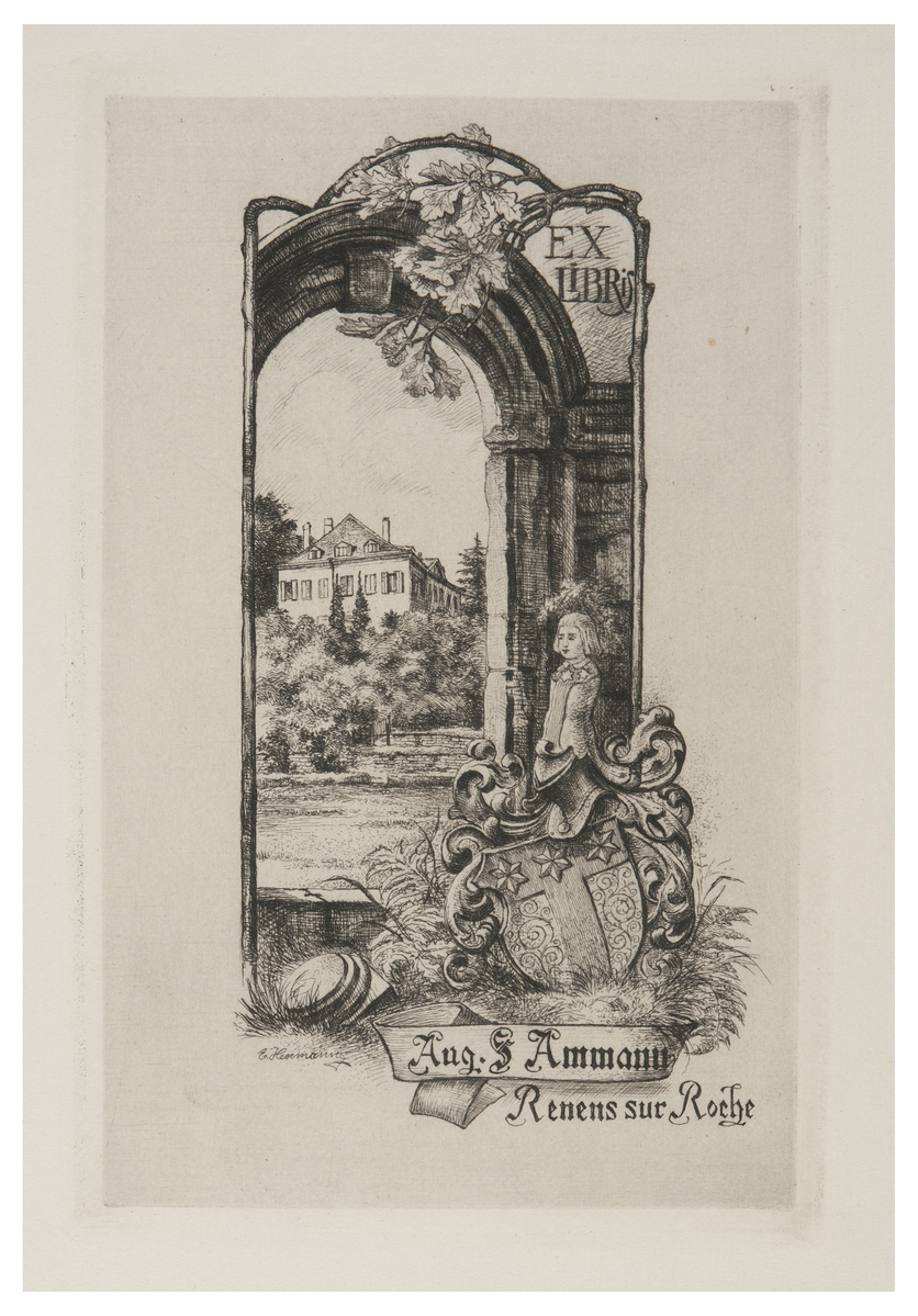 Fotograf: Hickstein, Carmen, Copyright: 1