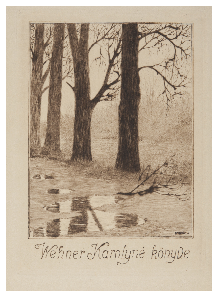 Fotograf: Hickstein, Carmen, Copyright: 1