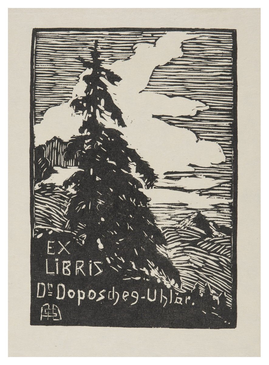 Fotograf: Hickstein, Carmen, Copyright: 1