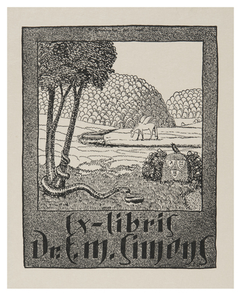 Fotograf: Hickstein, Carmen, Copyright: 1