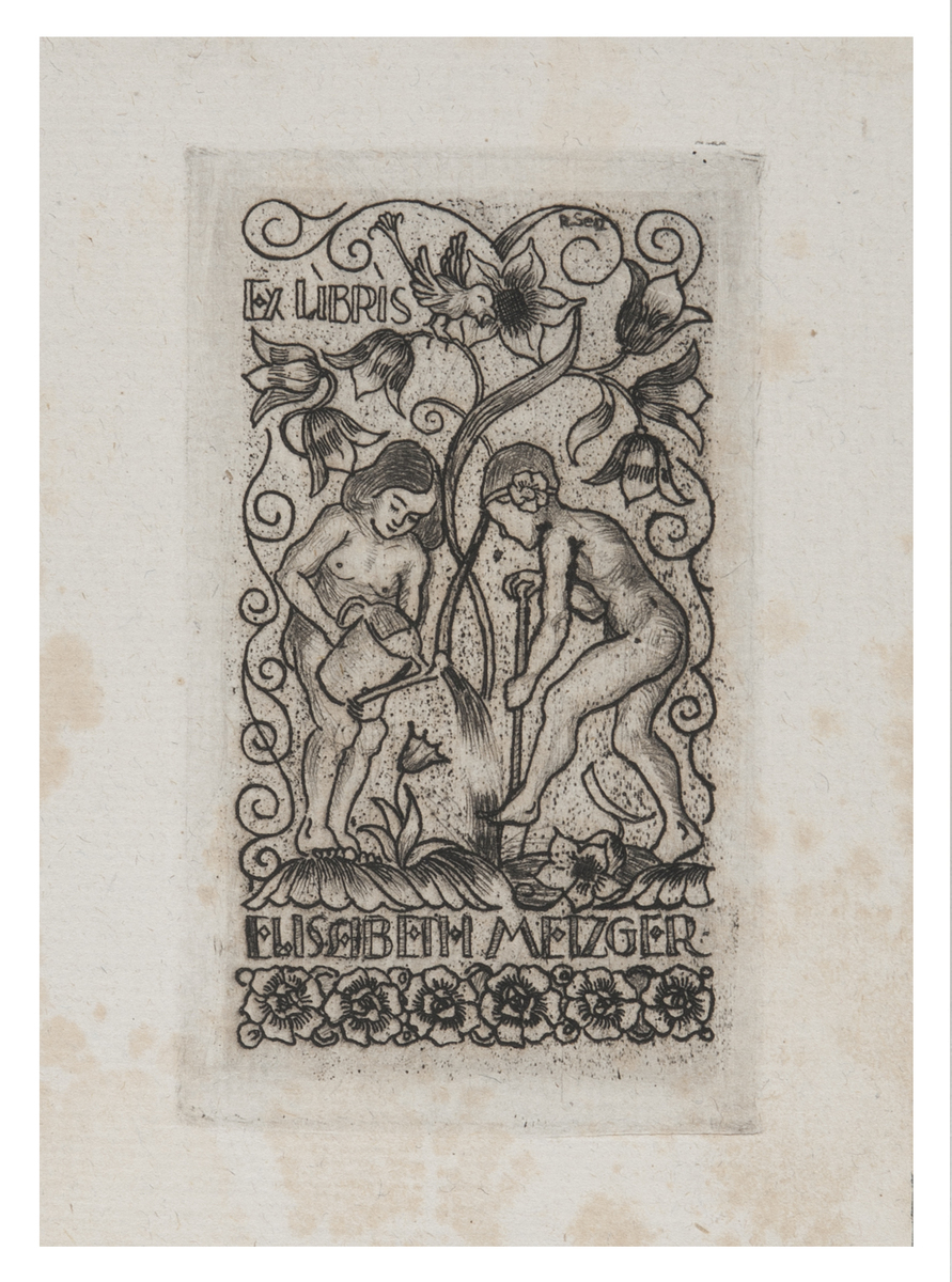 Fotograf: Hickstein, Carmen, Copyright: 1