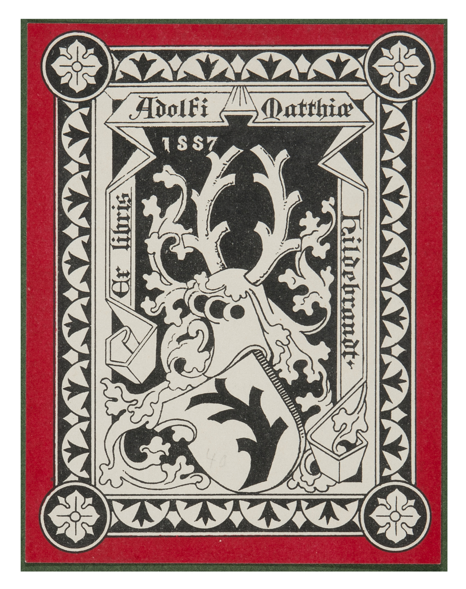 Fotograf: Hickstein, Carmen, Copyright: 1