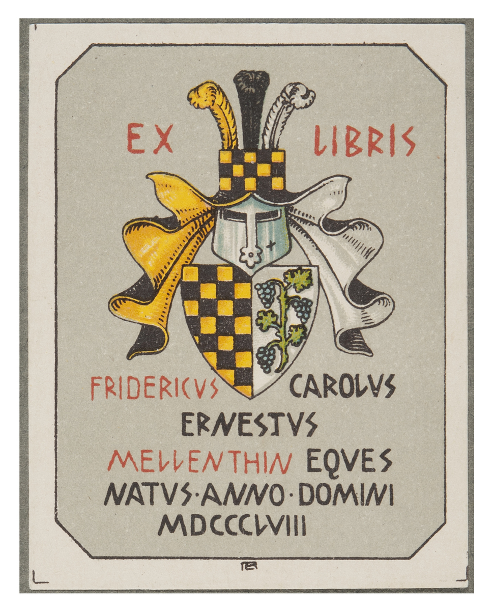 Fotograf: Hickstein, Carmen, Copyright: 1