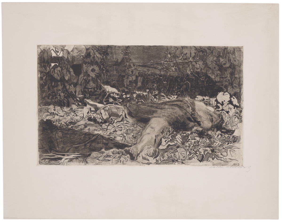 Fotograf: Neander, Hanna, Copyright: 1