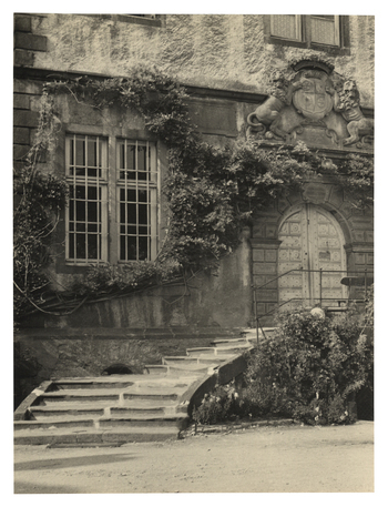 Fotograf: Hickstein, Carmen, Copyright: 1