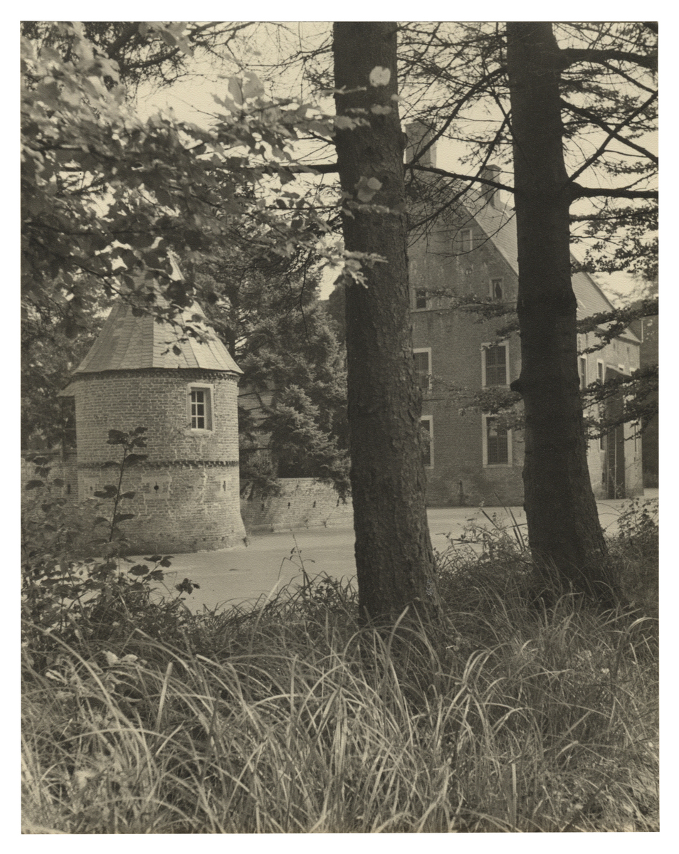 Fotograf: Hickstein, Carmen, Copyright: 1