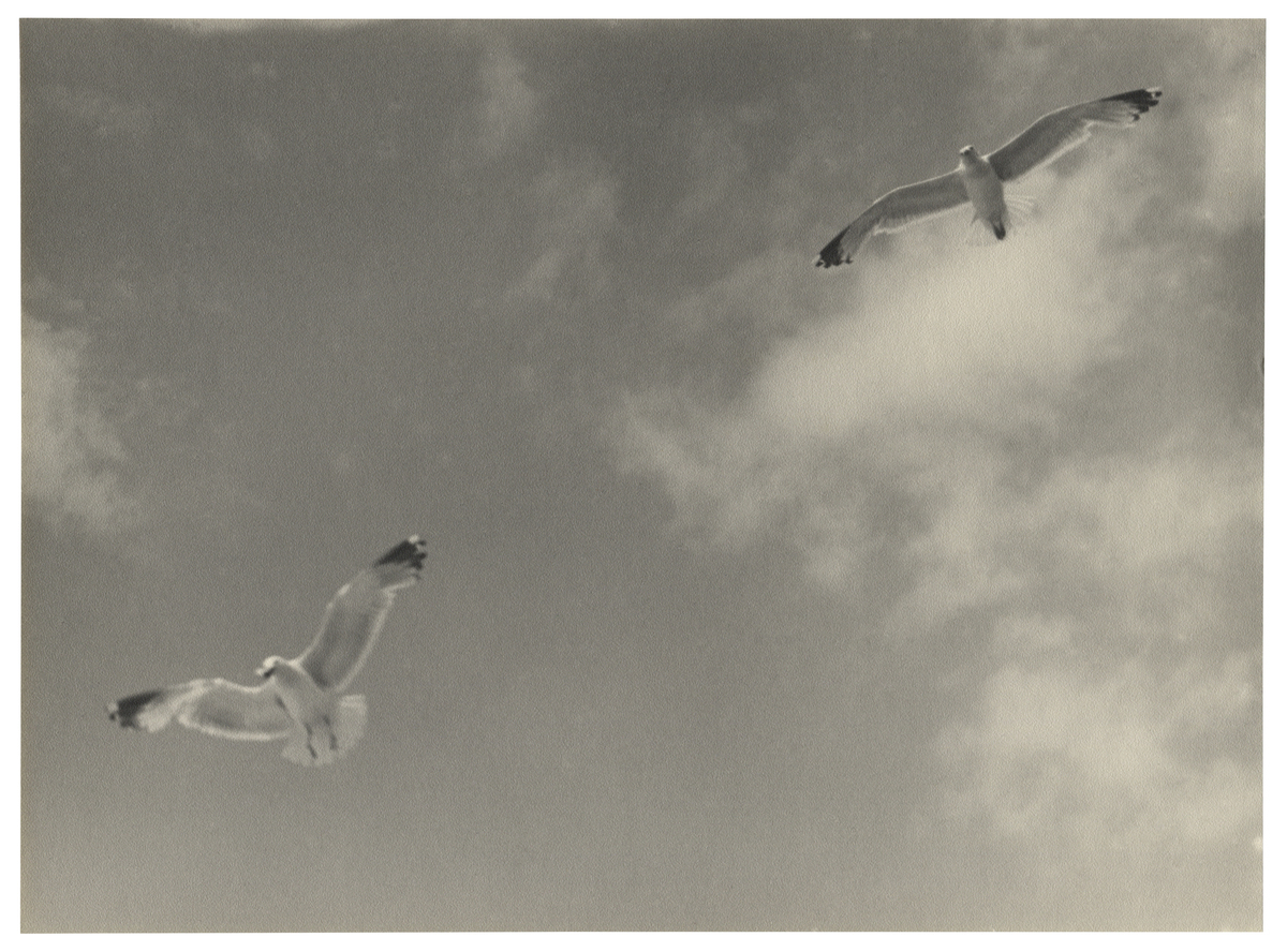 Fotograf: Hickstein, Carmen, Copyright: 1