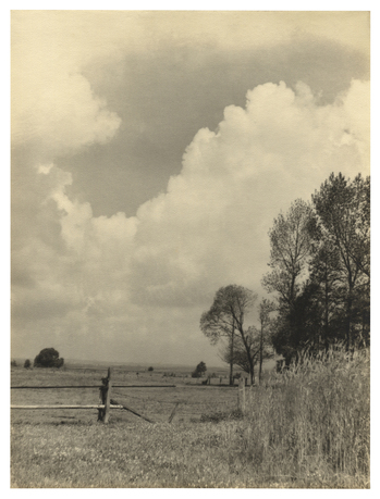 Fotograf: Hickstein, Carmen, Copyright: 1