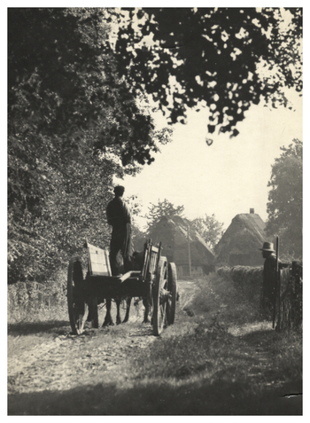 Fotograf: Hickstein, Carmen, Copyright: 1