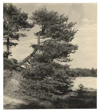 Fotograf: Hickstein, Carmen, Copyright: 1