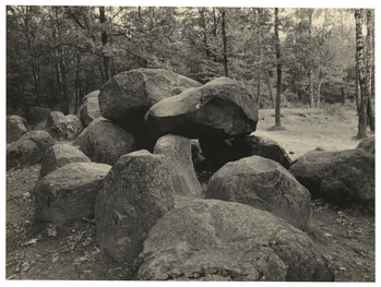 Fotograf: Hickstein, Carmen, Copyright: 1