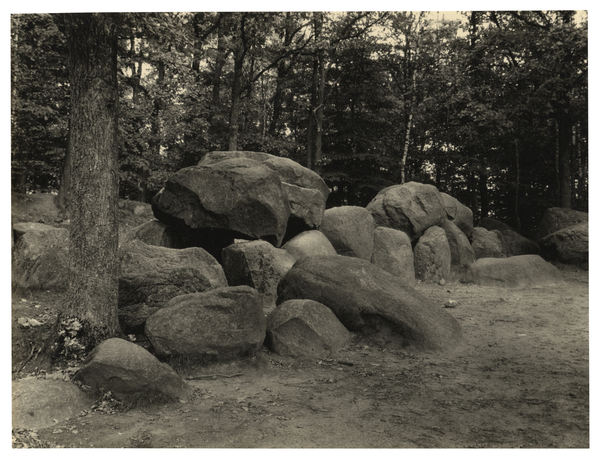 Fotograf: Hickstein, Carmen, Copyright: 1