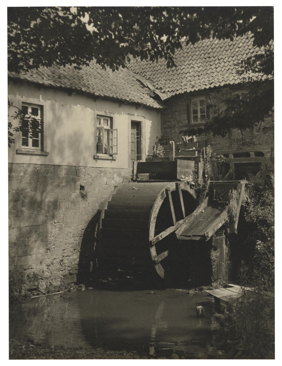 Fotograf: Hickstein, Carmen, Copyright: 1